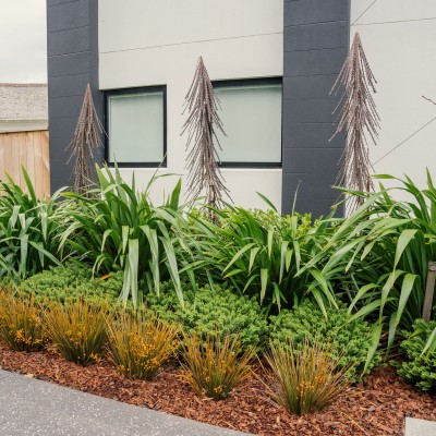 Landscape Design NZ | Garden Landscaping | The Plant Store NZ