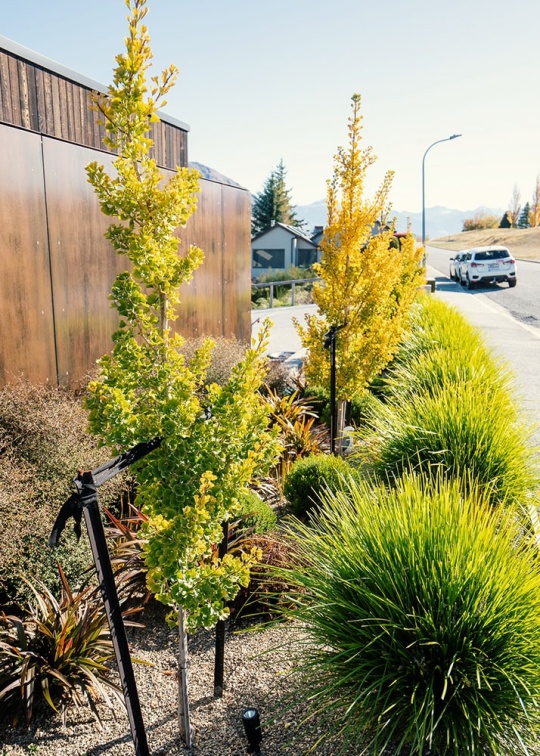 maximising-narrow-spaces-with-plants